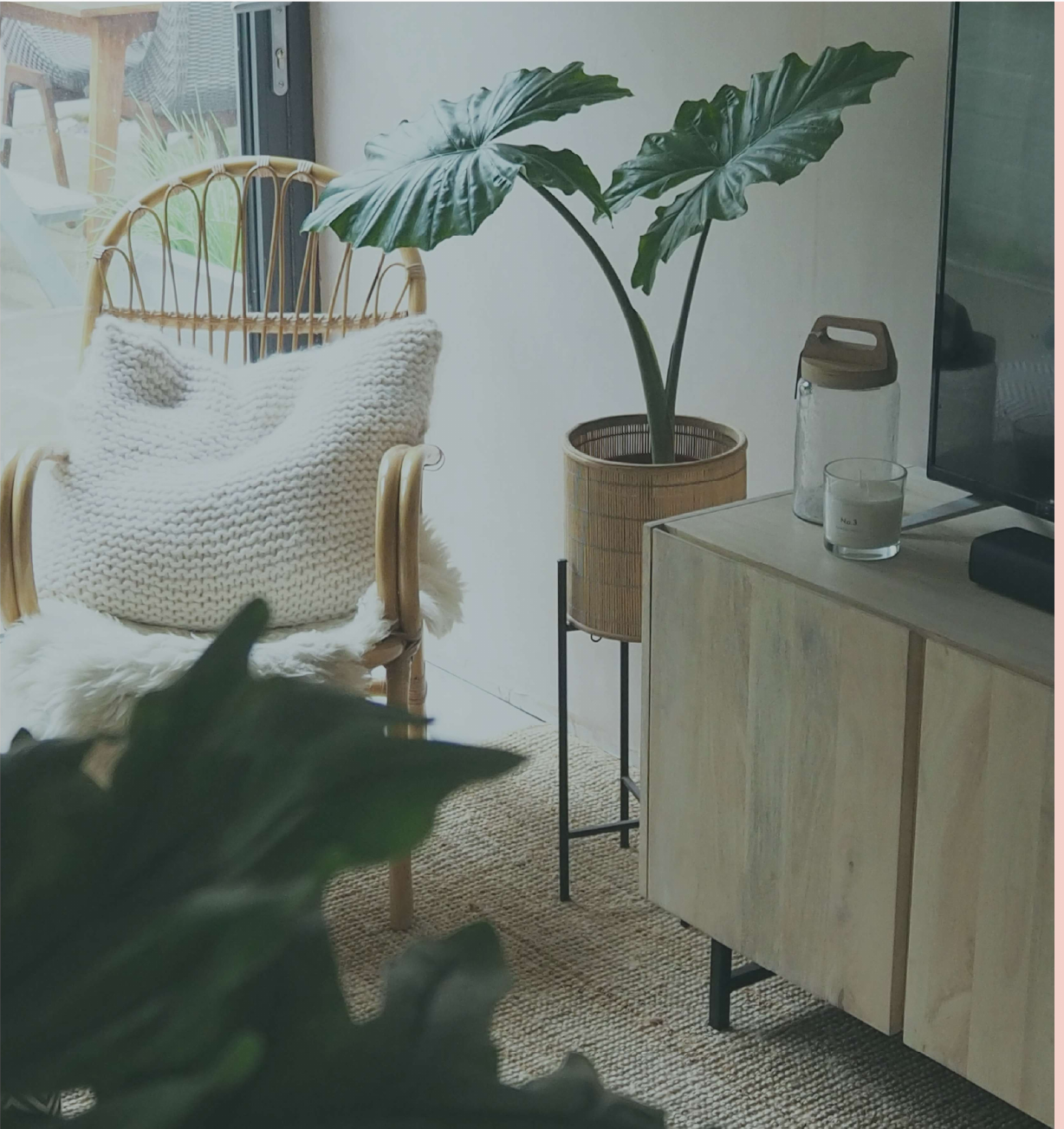 Reading corner with rattan chair and plants